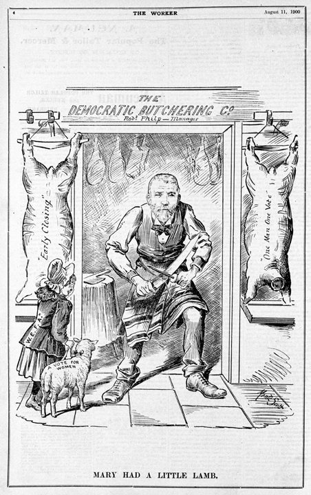 Suffragette cartoon based in a butcher shop, 1900
