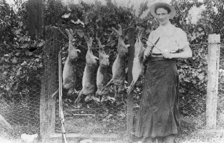 Preparing to skin rabbits, Queensland, c1920s