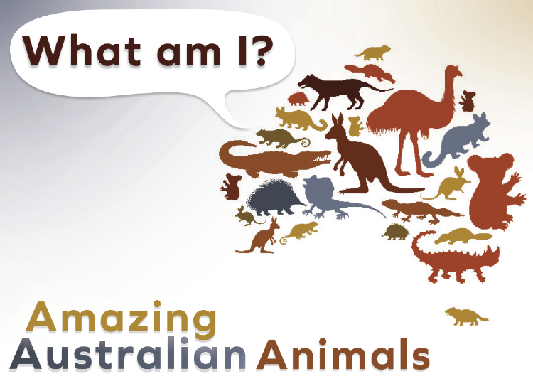 What am I? Amazing Australian Animals