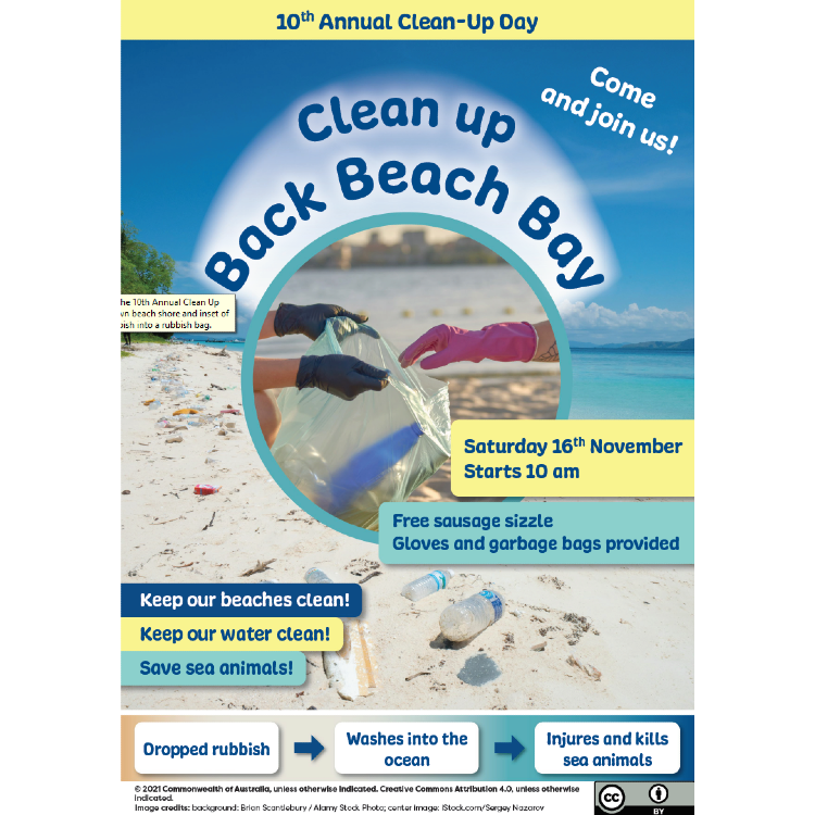 Clean up Back beach Bay