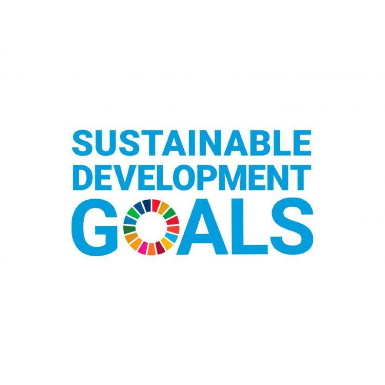 SDG Lesson Plans for New Zealand Teachers