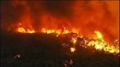 Catalyst: Climate and bushfires in Australia