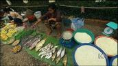 Foreign Correspondent: Spawning dams, not fish, on the Mekong?