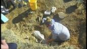 Heywire: Digging for diprotodons