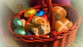 BTN: Easter symbols