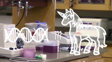 Could you make a unicorn by crossing DNA?