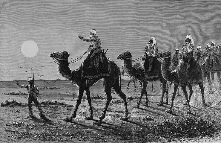 'Australian exploration, an expedition on the march', 1874