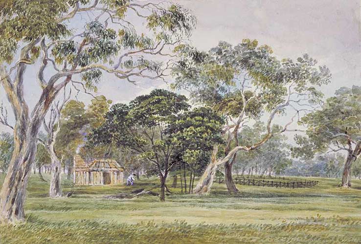 'Sheep station in the forest, Challicum, 1843'