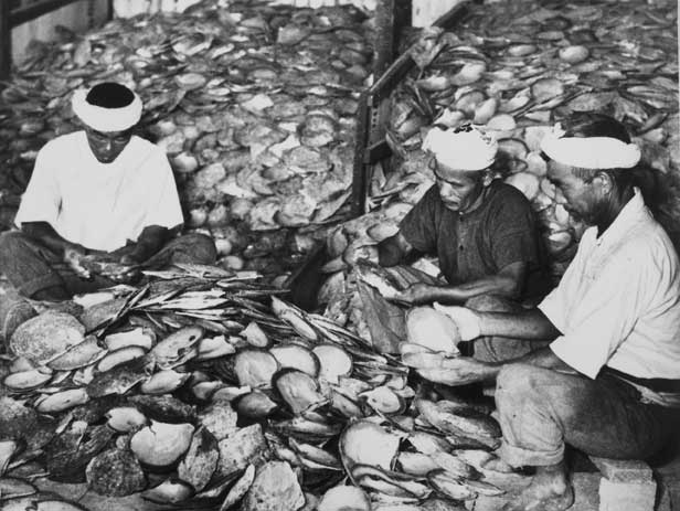 Sorting mother-of-pearl shells, Broome, c1953