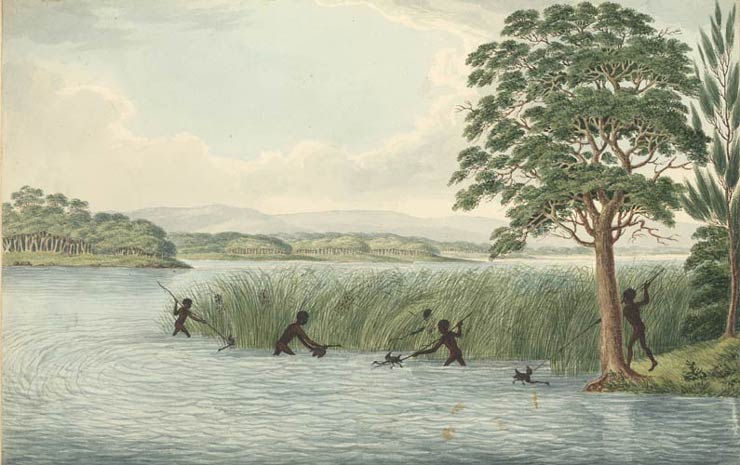 Indigenous Australians hunting black swans, c1817
