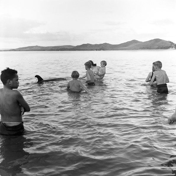 'Crowd in the water, Opononi', 1956