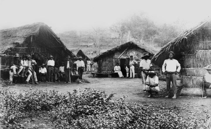 Pacific Islander labourers in the Mackay District, late 1800s