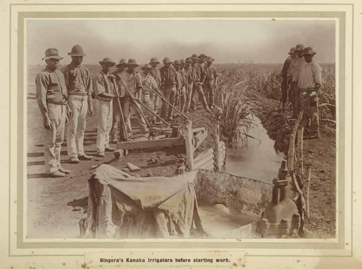 Pacific Islanders at irrigation channels, c1905