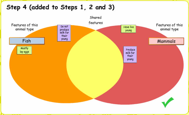Animal classification: assessment: teacher guide